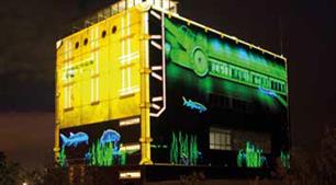 Vismigratiekalender Haringvliet