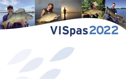 VISpas contact en service