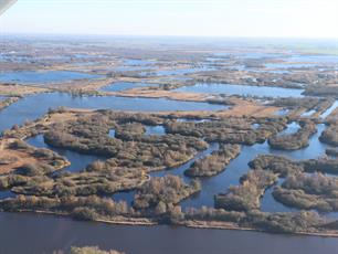 VISpas Hotspots: De Alde Feanen (Friesland)