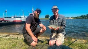 Vissen bij een veerpont (video)