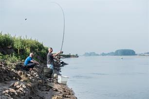 Vissen bij langsdammen