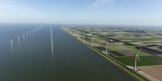 Vissen binnen de rente van het IJsselmeer