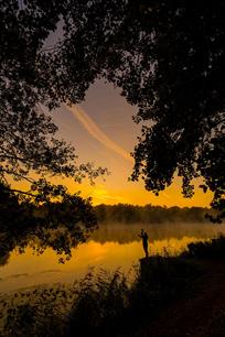 Vissen en intelligentie