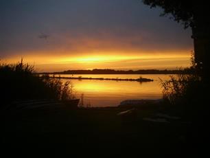 Vissen in de Biesbosch
