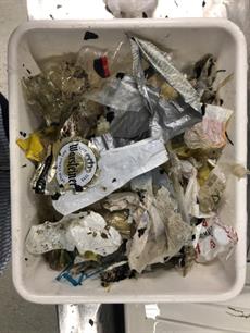 Vissen in een plastic soep