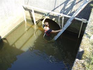 Vissen met tunnelvisie : Onderzoek vispasserbaarheid via PIT-telemetrie