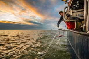 Vissen op de zoete zee
