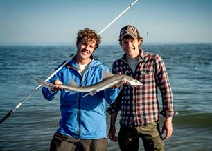 Vissen op haai in VIS TV (video)