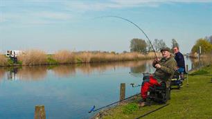 Vissen tegen de pijn (video)