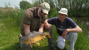 Vissen tegen trauma's - PTSS (video)