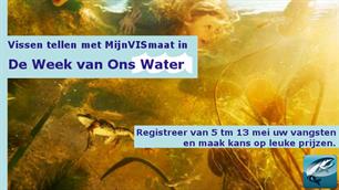 Vissen tellen tijdens de Week van Ons Water