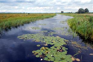 Vissenatlas brengt de noordelijke visfauna in beeld