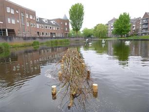Vissenbos brengt leven