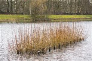Vissenbossen erg succesvol