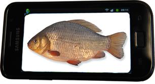 Vissenfoto's gezocht!