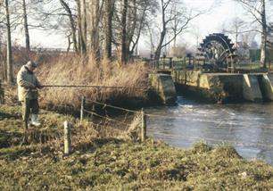 Vissennetwerk over waterkrachtcentrales en gemalen
