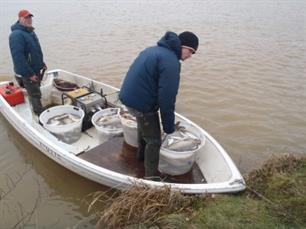 Visserijkundig Onderzoek in Heusden en Tiel