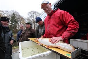 Visserijkundige onderzoeken in december (video)