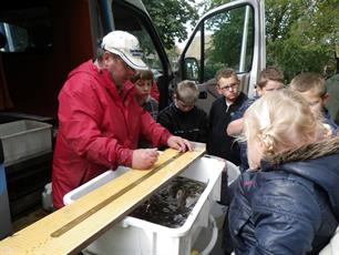 Visstand Zuiderdiep wordt in kaart gebracht