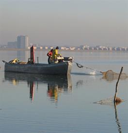 Visstandbeheercommissies