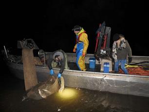 Visstandonderzoek Volkerak-Zoommeer afgerond