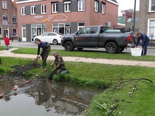 Vissterfte? Kom in actie!