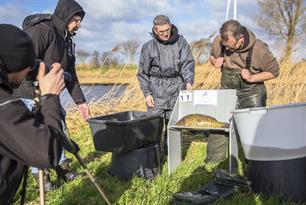 Visuitzet MidWest Nederland