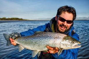 Vliegvissen - Zilverkoorts