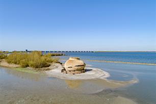 Vogelobservatorium Tij geopend