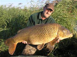 Voorwoord : Exoot sinds 1300