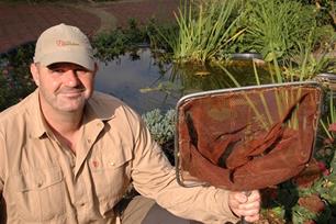 Voorwoord : Romantiek