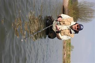 Voorwoord: Scharrelvis