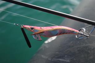 Vragen over de inktvis jig