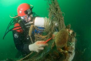 Vrienden van de Noordzee