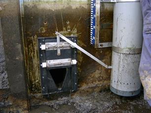 Vrij baan voor Sallandse vissen