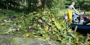 Waterplantenproblematiek IJmeer en Markermeer