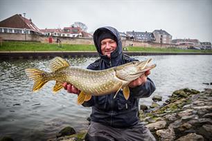 Wintertips van MijnVISmaat: snoekbaars en snoek
