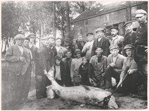 Wist je dat - Nederland steurparadijs