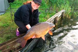 Wist je dat? Oranje karperdames.