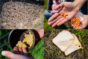 Witvissen: 10 opties voor haakaas