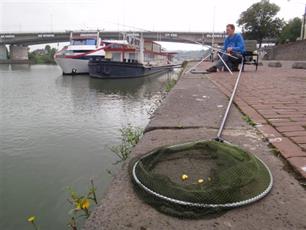 Witvissen - Arnhem: Gelderse hoorn des overvloeds