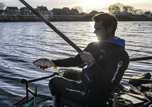 Witvissen: bakstenen van voorns