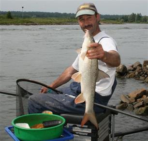 Witvissen - Barbeel met de vaste stok