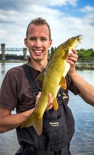 Witvissen - barbeel op laag water zoeken