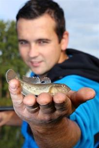 Witvissen - De grrr...ondelkampioen