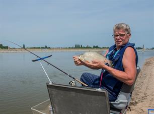 Witvissen: feederen langs de dam