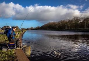 Witvissen - feedertips voor de lente