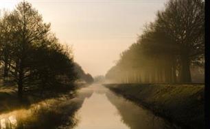 Witvissen - herfsttips van witviscracks