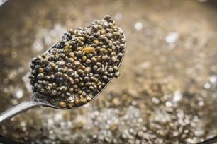 Witvissen: how-to's voor hennep