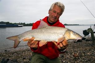 Witvissen - Kaas, kerrie en barbeel